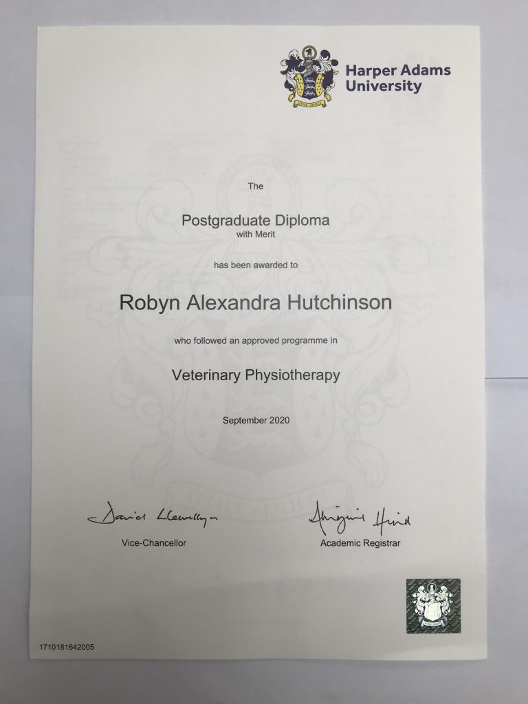 PgD Veterinary Physiotherapy